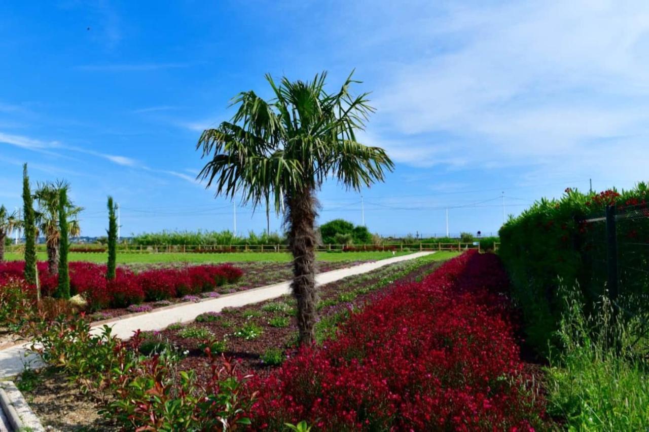 Appartamento Domaine Juan Flore